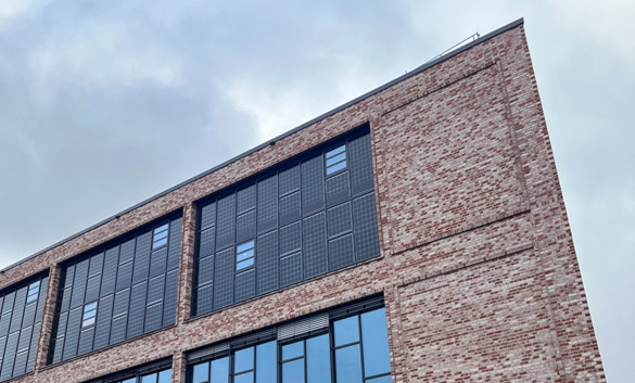 Rischart_cacoon_03 Rischart_cacoon_03